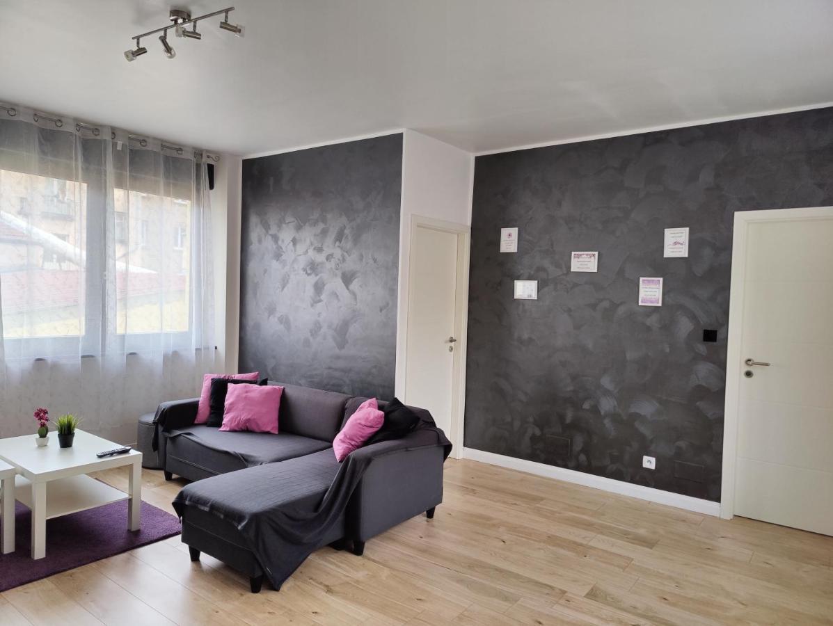 Le Purple, Appartement De Standing En Hypercentre Sarreguemines Exteriör bild